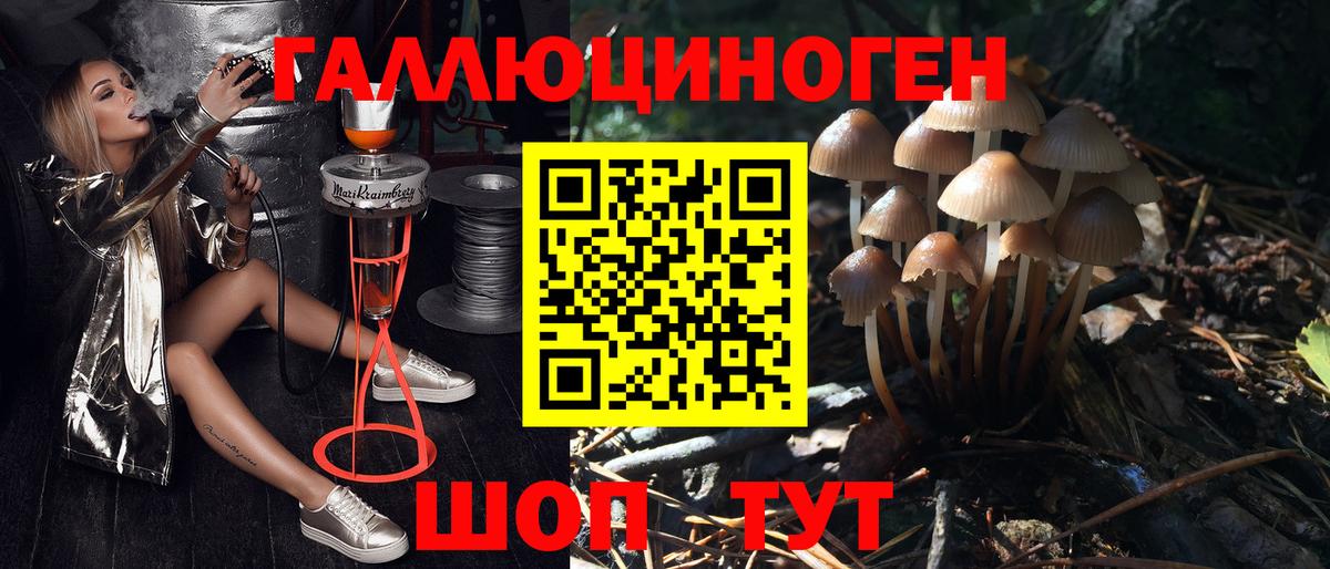 Галлюциногенные грибы мицелий Осинники
