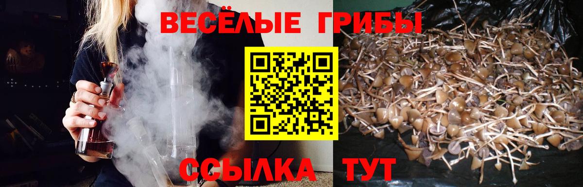 Осинники  Псилоцибиновые грибы мухоморы  Вход с VPN 